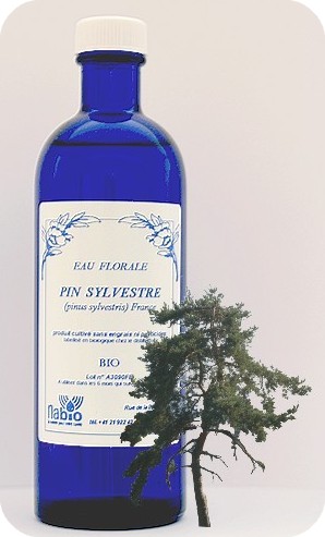 Pin sylvestre Bio -en 200ml, 1000ml